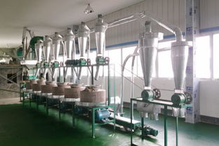 電動石磨米漿機(jī)